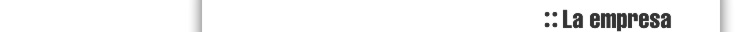 :: La empresa